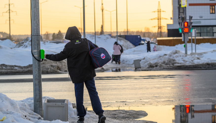 Переходить дорогу стало безопасно: в Чистых Прудах включили новый светофор с кнопкой вызова.