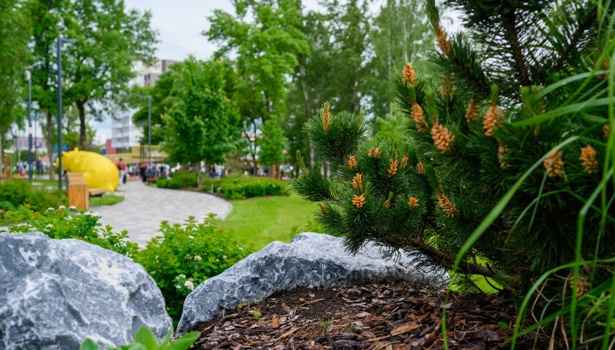 КСМ подарил городу сквер “Видный”